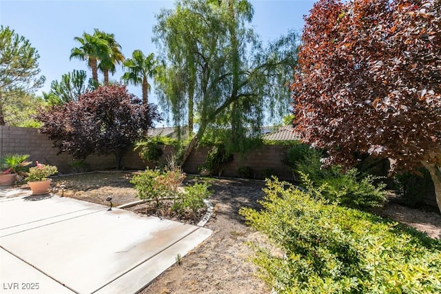 view of yard featuring a patio area