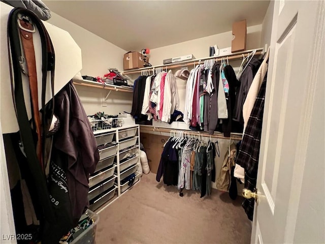 spacious closet featuring light carpet