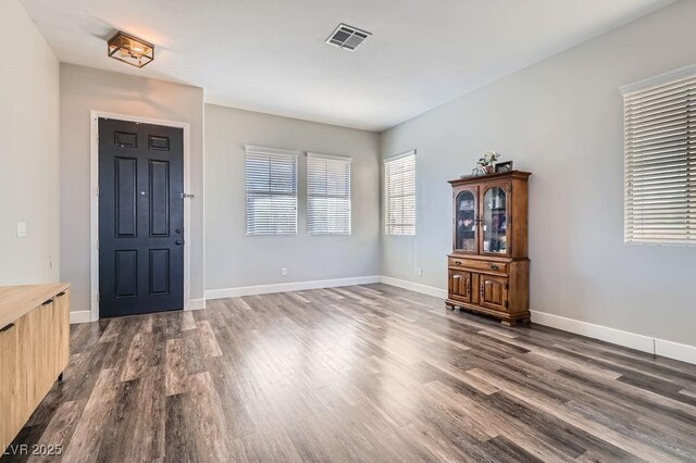 entrance foyer with dark wood-type flooring