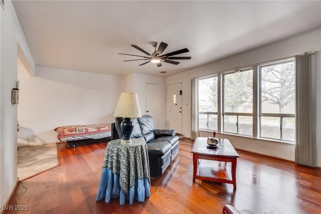 living room with ceiling fan and wood-type flooring