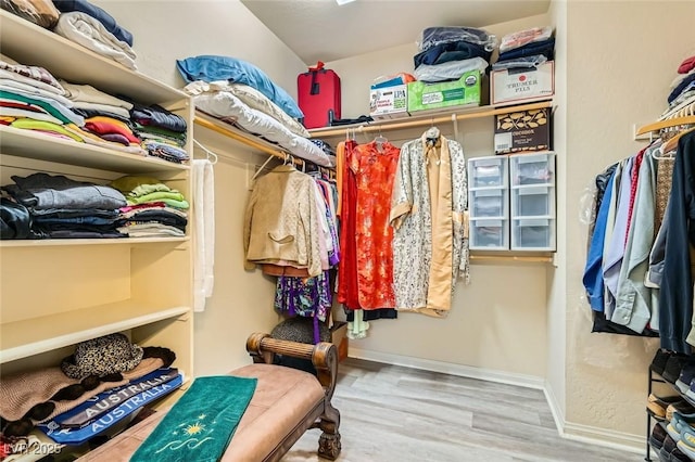 spacious closet with wood-type flooring