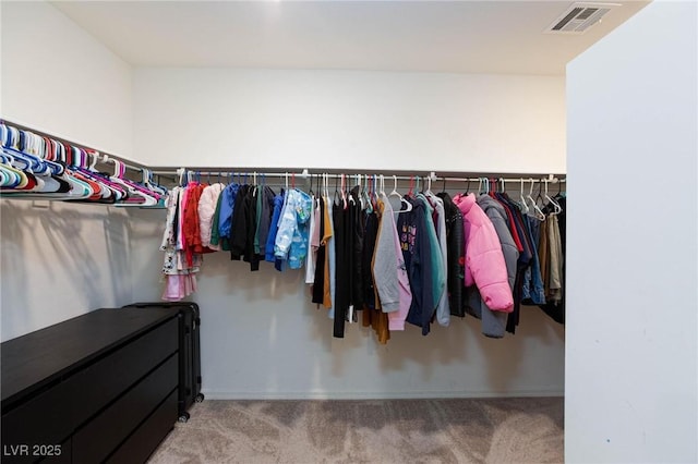 spacious closet with light colored carpet