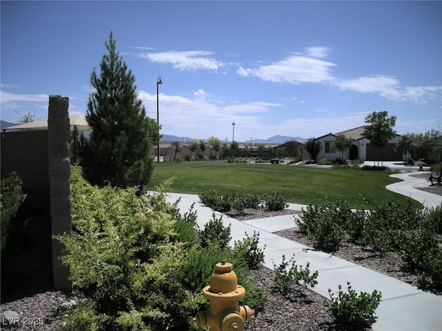 view of home's community with a mountain view and a yard