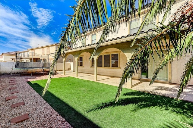 rear view of house featuring a patio, a yard, and a trampoline