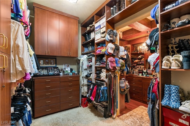 609 China Doll Pl, Henderson, NV 89012 - view of spacious closet