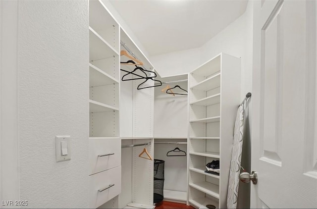 view of spacious closet