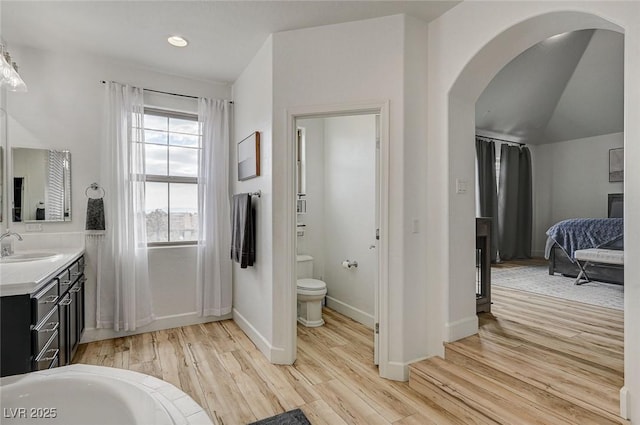 bathroom with vanity, wood-type flooring, a bathing tub, and toilet