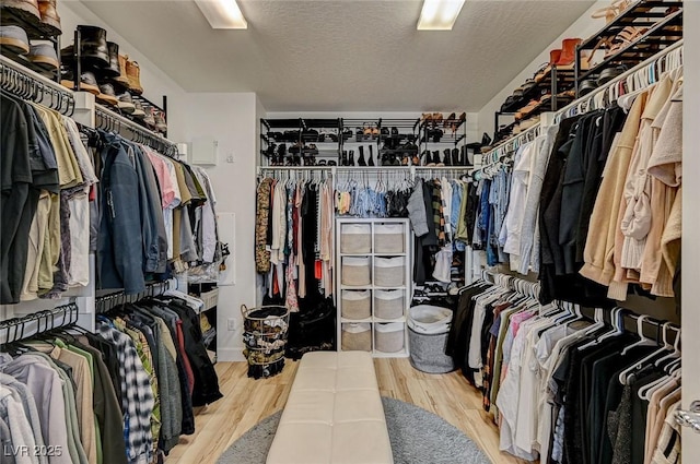 walk in closet with hardwood / wood-style floors