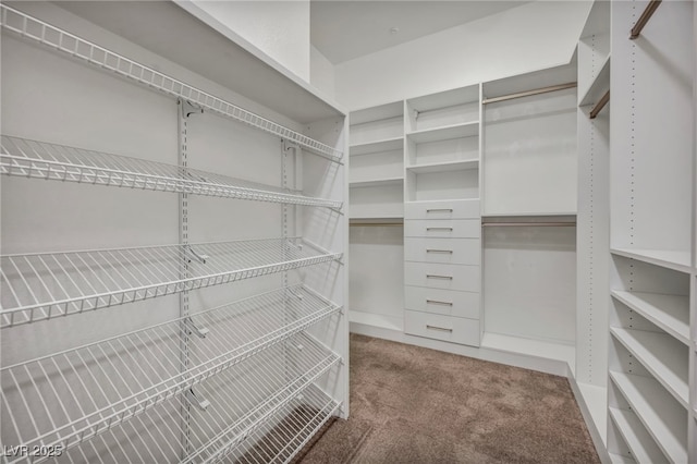 spacious closet with carpet flooring