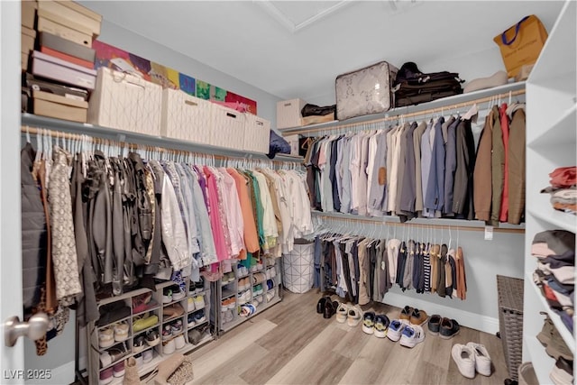 walk in closet with hardwood / wood-style flooring