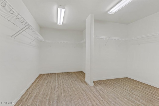 spacious closet featuring light hardwood / wood-style floors