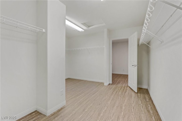 spacious closet with light wood-type flooring