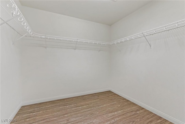 spacious closet with wood-type flooring