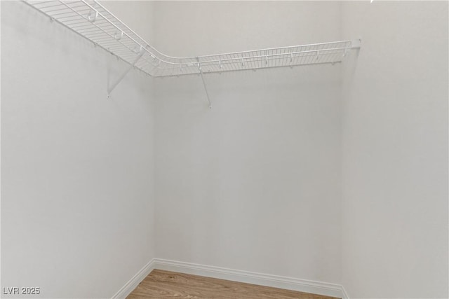 spacious closet with wood-type flooring