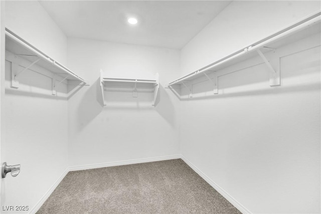 spacious closet with carpet flooring