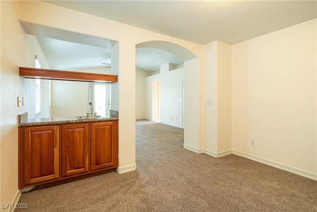 interior space with sink and light carpet