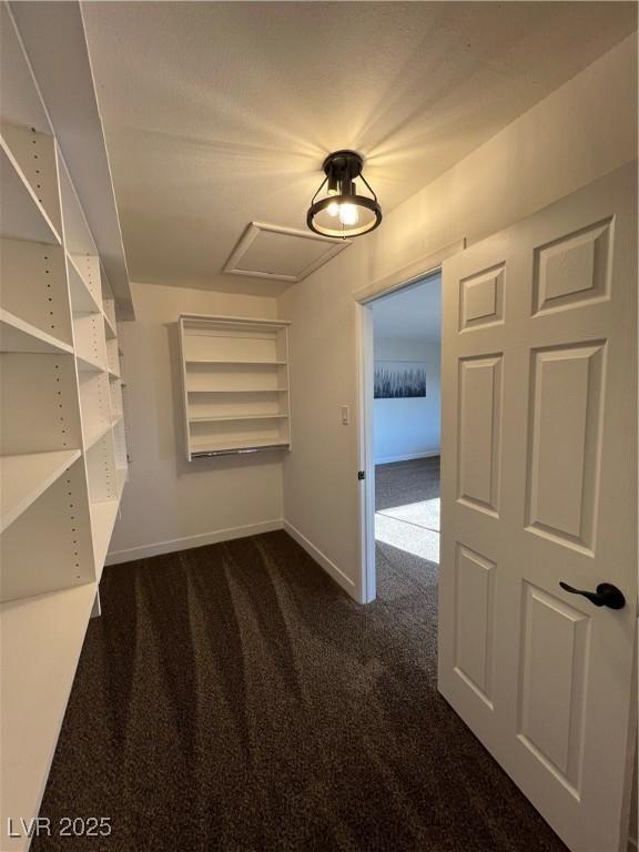 spacious closet with dark colored carpet