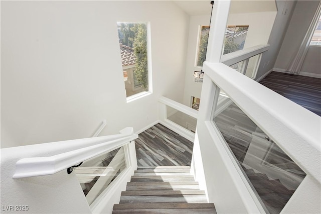 stairway with wood-type flooring