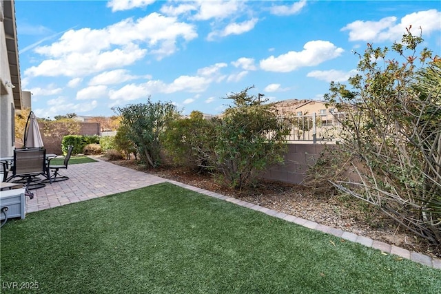 view of yard with a patio area