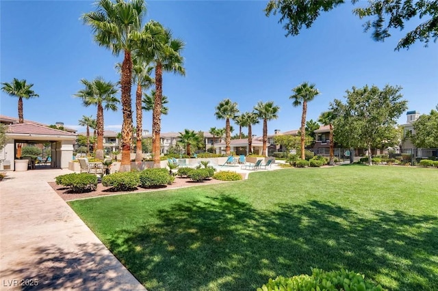 view of yard with a patio area