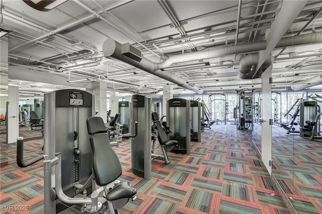 workout area with carpet