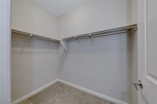 spacious closet with carpet floors