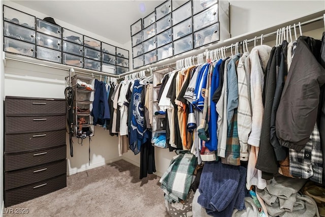 walk in closet with carpet floors