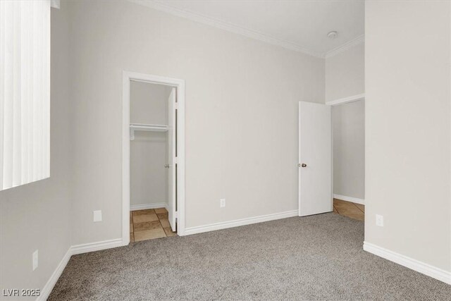 unfurnished bedroom with ornamental molding, carpet floors, a closet, and a spacious closet