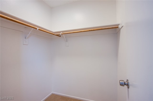 spacious closet featuring carpet flooring