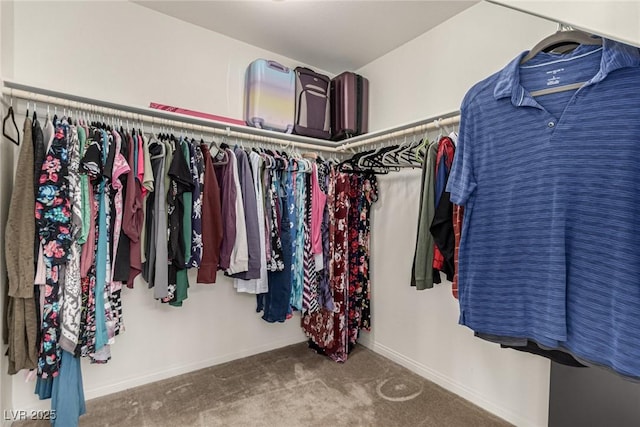 walk in closet featuring carpet