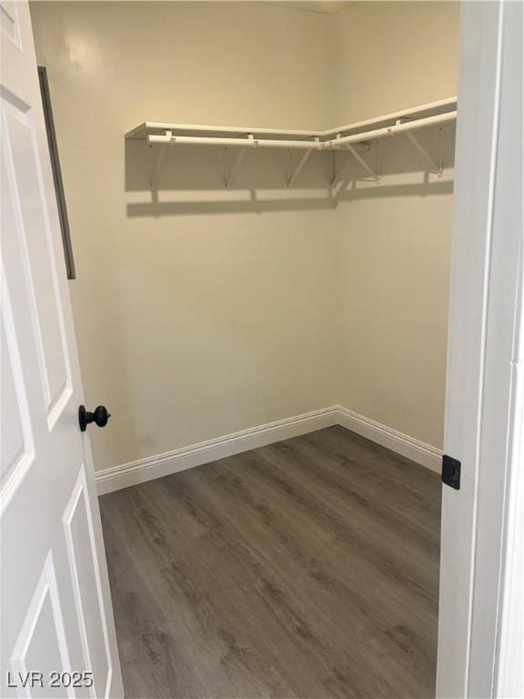 walk in closet with dark wood-style floors