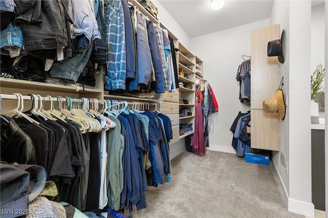 walk in closet with carpet