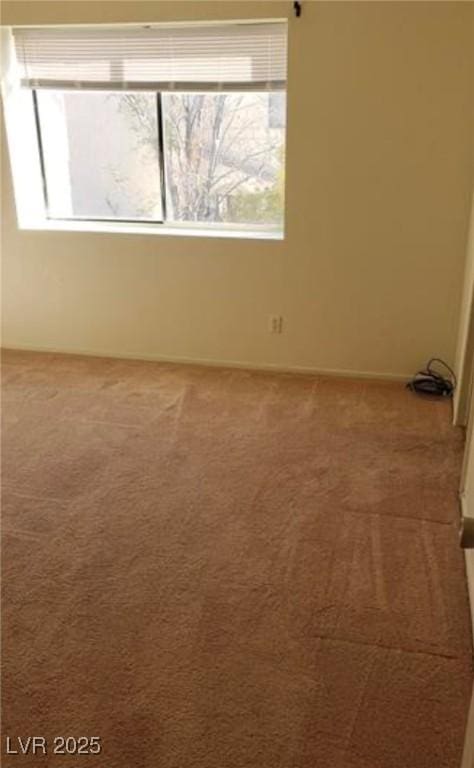 spare room featuring carpet flooring