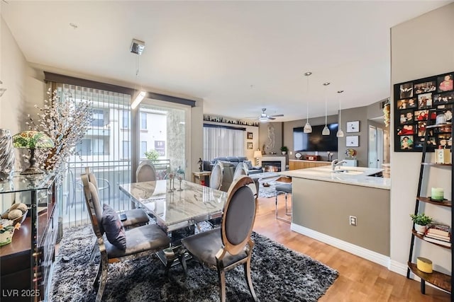 dining area featuring hardwood / wood-style floors, sink, and ceiling fan