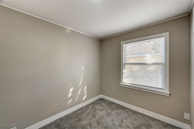 carpeted spare room with crown molding