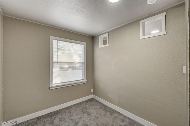 carpeted empty room with ornamental molding and a textured ceiling