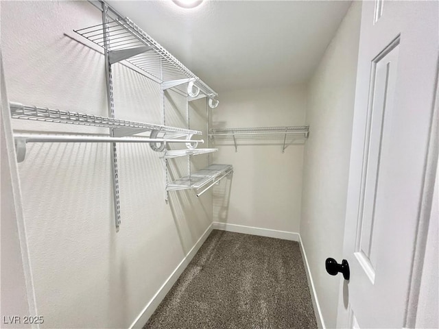 spacious closet with dark colored carpet