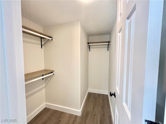 spacious closet featuring dark hardwood / wood-style flooring