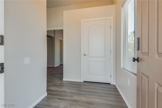 hallway featuring dark hardwood / wood-style floors