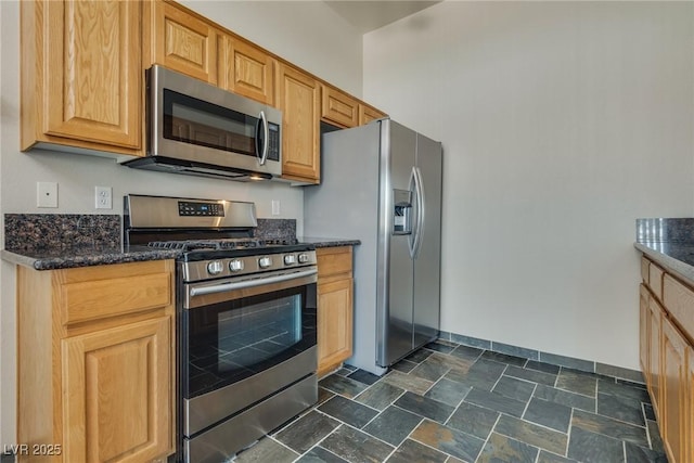 kitchen featuring stainless steel appliances and dark stone countertops