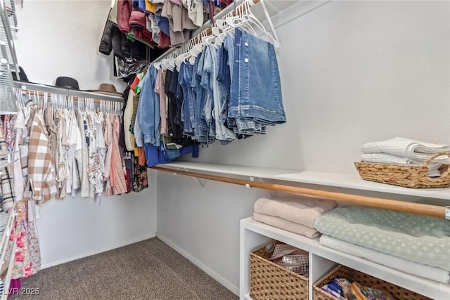 walk in closet with carpet flooring