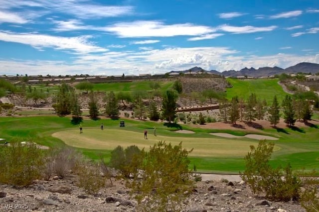 view of community featuring a mountain view and a yard