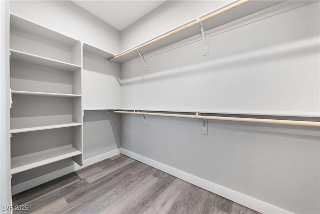 spacious closet featuring hardwood / wood-style floors