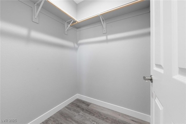 spacious closet with wood-type flooring