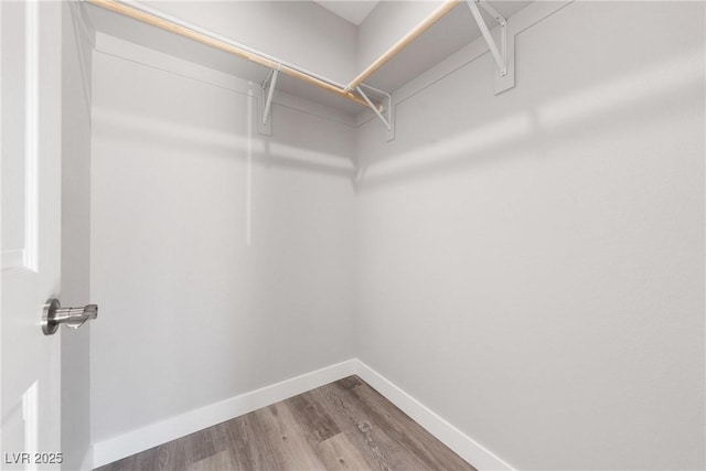 spacious closet featuring wood-type flooring