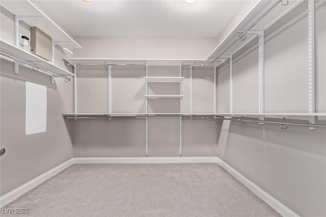 walk in closet with light carpet