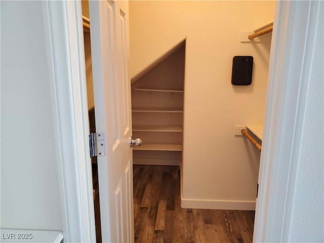 spacious closet with dark hardwood / wood-style floors