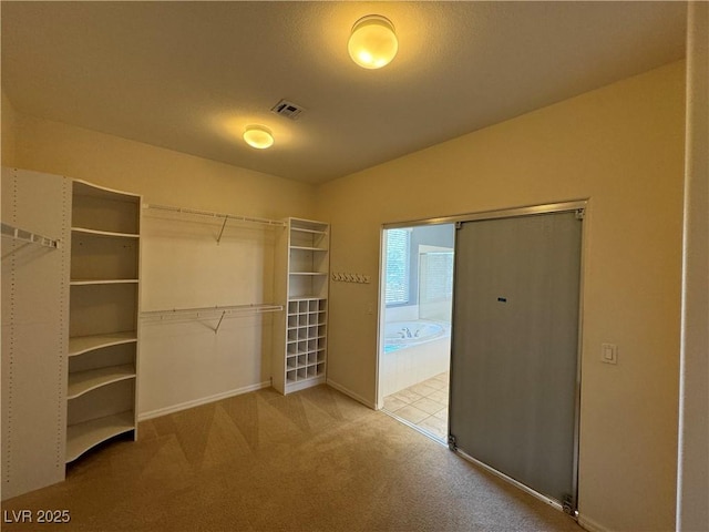 walk in closet featuring carpet