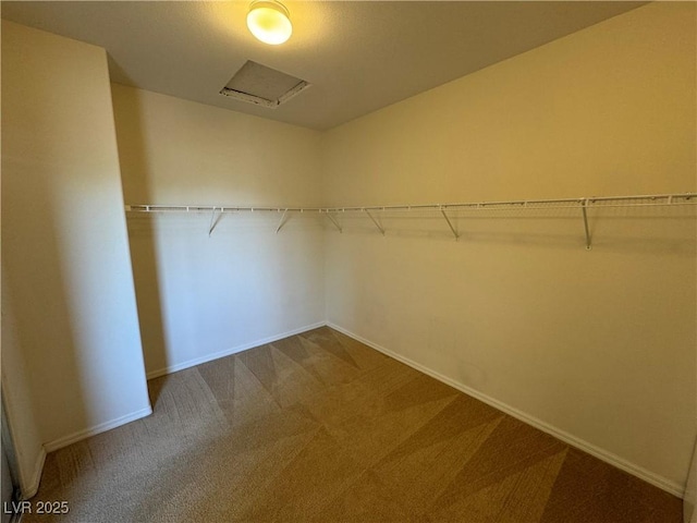 walk in closet with carpet floors