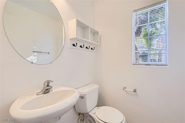 bathroom featuring toilet and sink